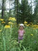 Миний зураг